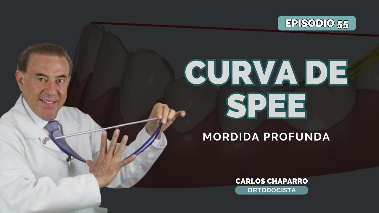 Curva de Spee profunda   - EPISODIO 55