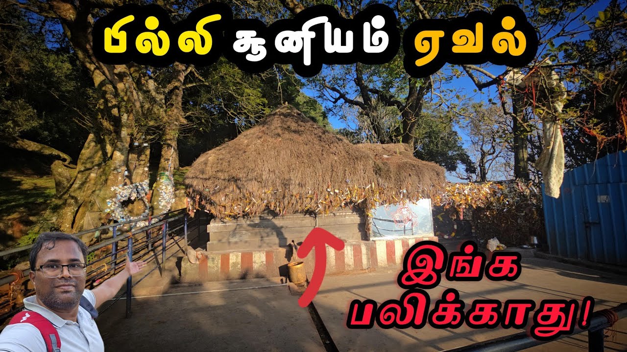 கொல்லிமலை மாசி பெரியண்ணசாமி கோவில் 🔥 | Kollimalai Maasi Periyannasamy Temple, Guardian Deity!
