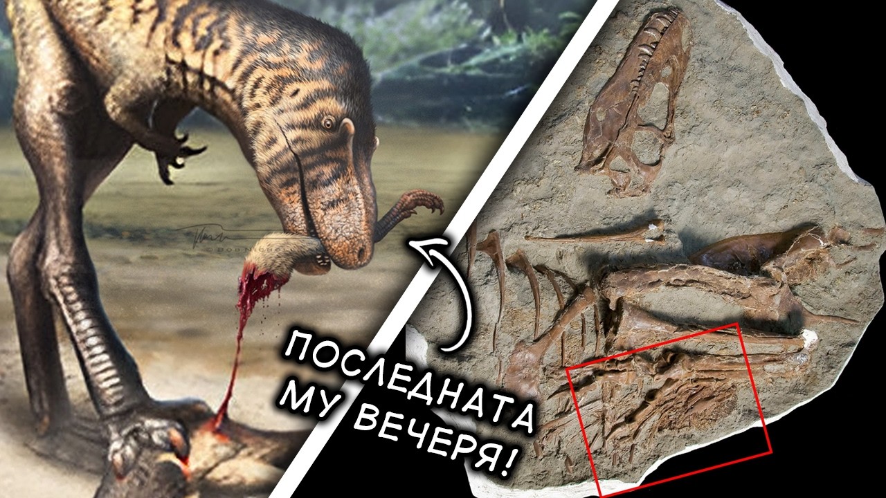 ТОП 10 ПРАИСТОРИЧЕСКИ животни и тяхната ПОСЛЕДНА вечеря