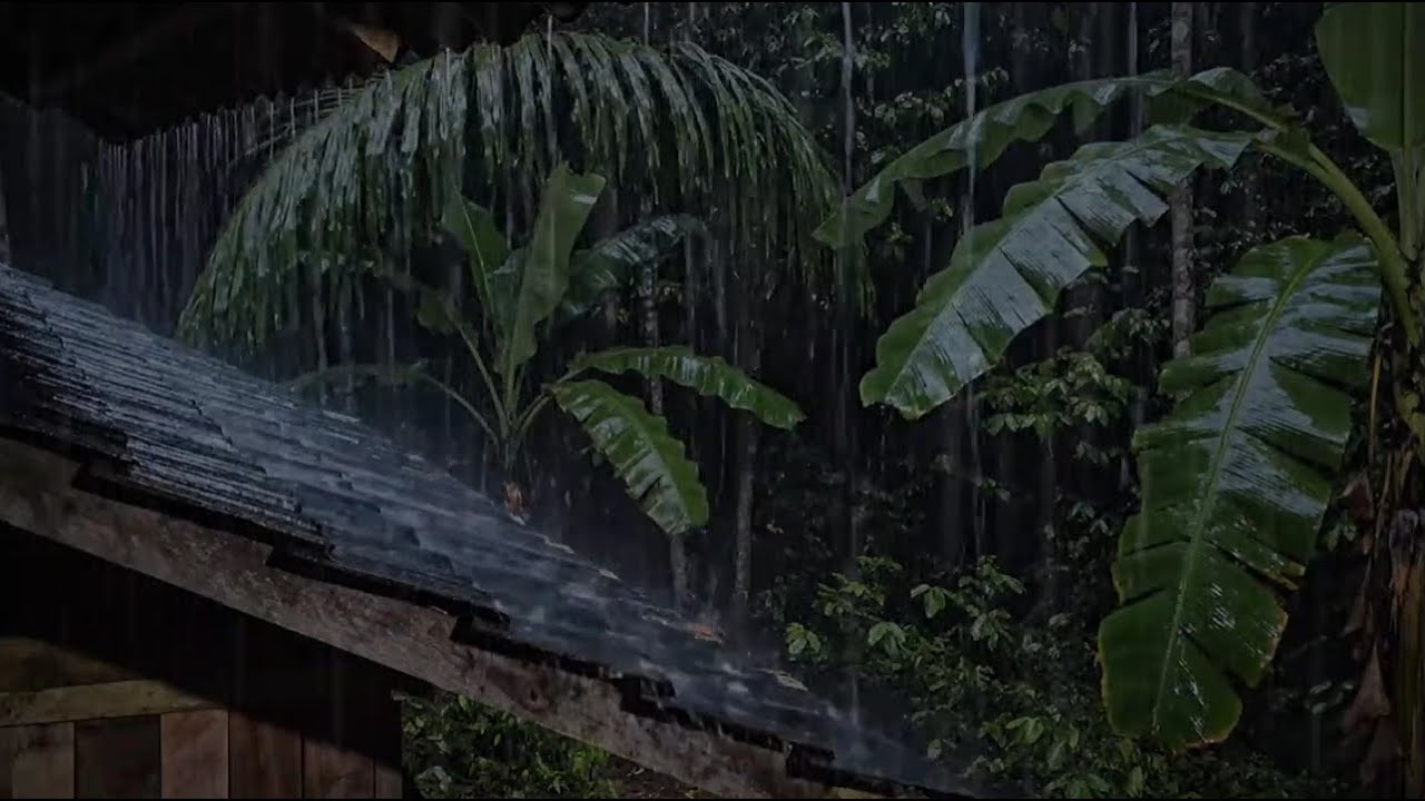 Natural Rain Sounds to Drift You to Sleep | Slow Rainfall for Peaceful Sleep