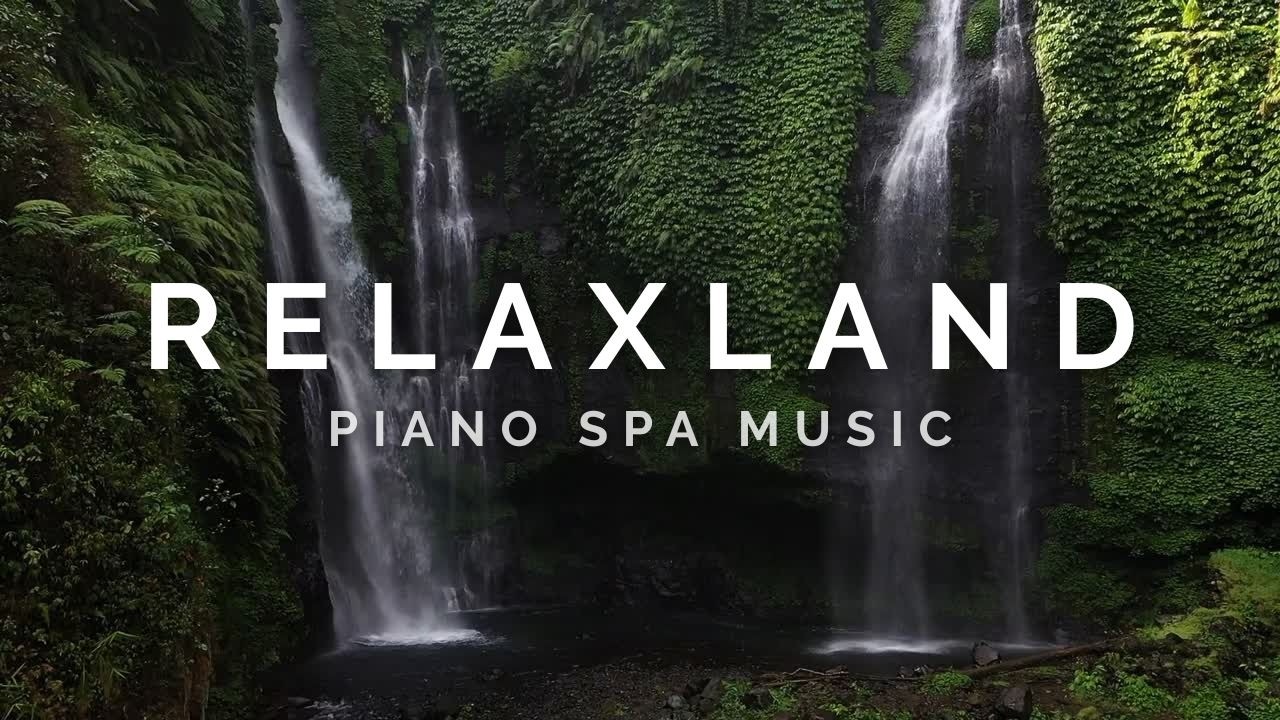 Neural Repair Rainy Pine Forest & Deep Sleep Piano for REM Recovery Anxiety FlushStop Overthinking