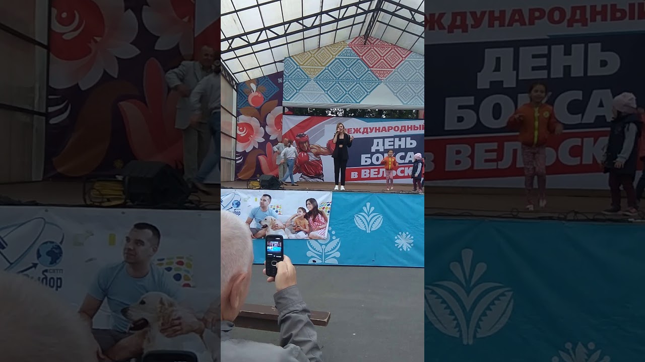 День бокса в Вельске