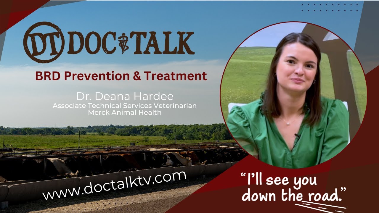 DocTalk Ep 703 BRD Prevention, Metaphylaxis & Treatment with Deana Hardee