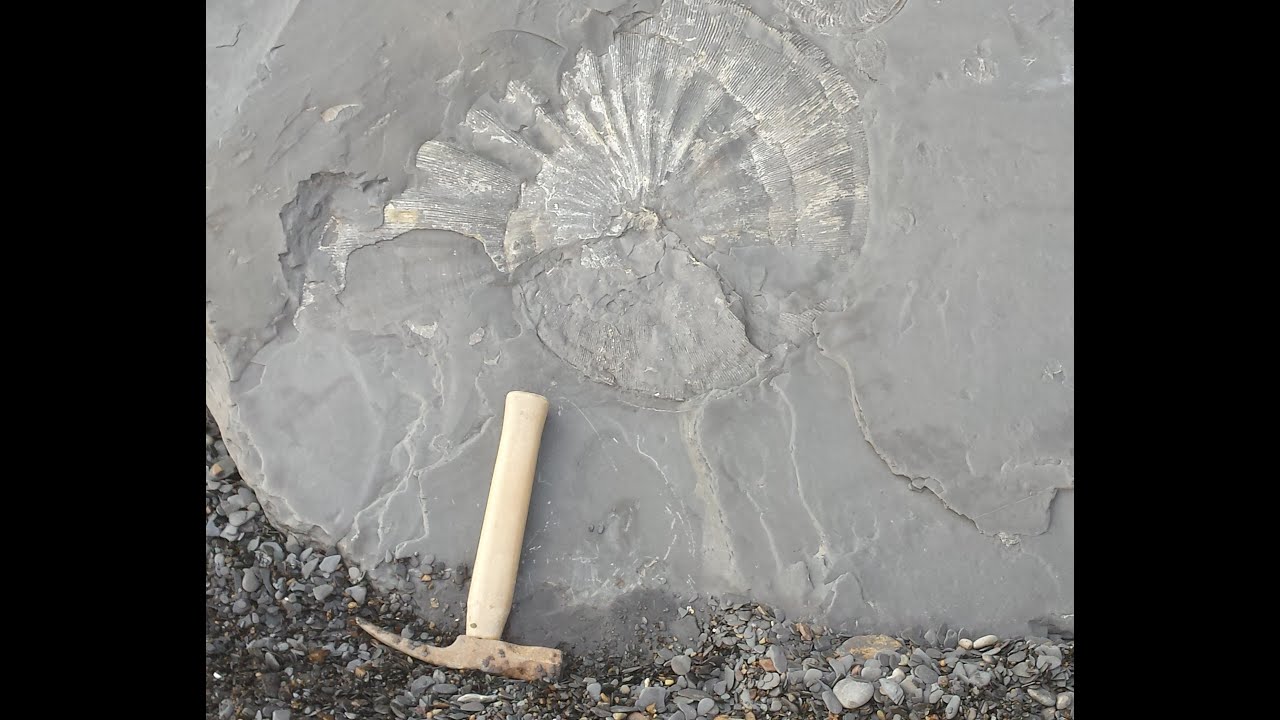 Fossil Hunting, Episode 50, part 2 - Saltwick Bay
