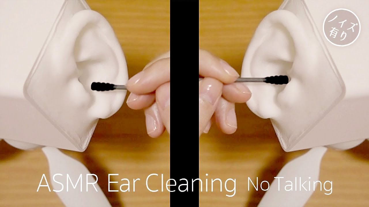 [ASMR] Both Ear Cleaning#5 / No Talking