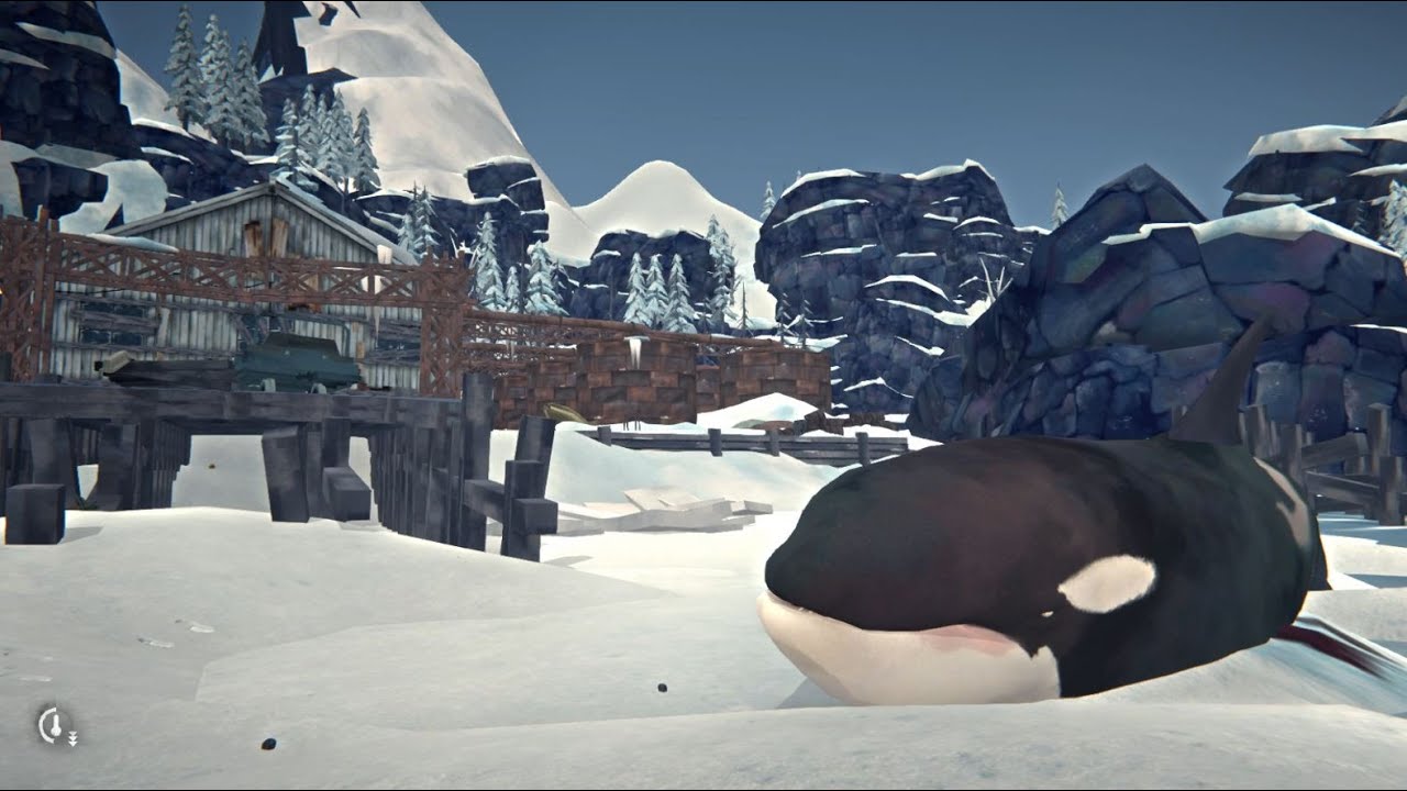 THE LONG DARK: Orca/crow meat, salt rocks, bee hive, bird nest, fir cones