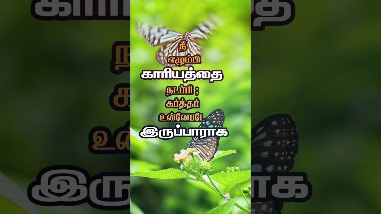 #Today's Bible Verse/#tamil bible words/#Today's Bible Verse in Tamil/Bible Verse-15.09.25