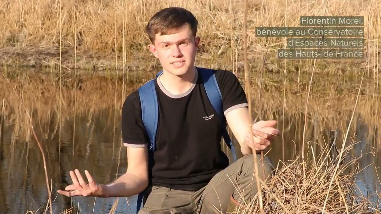 Le réveil printanier du Marais de Bresles
