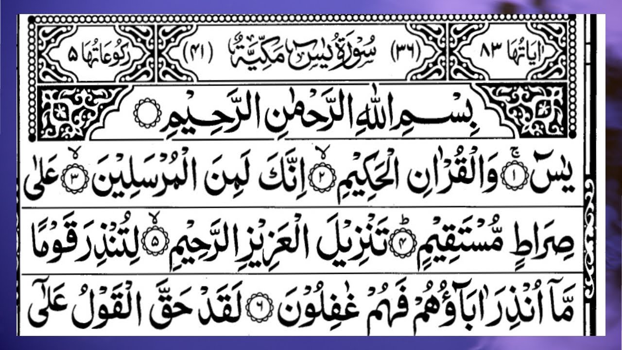 🌹Daily Surah Yaseen Full | Surah Rahman Full 🌹| Beautiful Tilawat | (HD) | Alqama Naziri Official