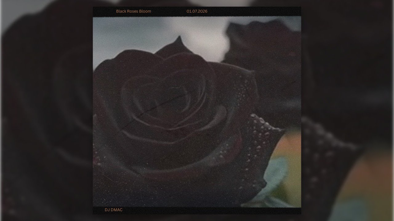 Black Roses Bloom- DJ DMac