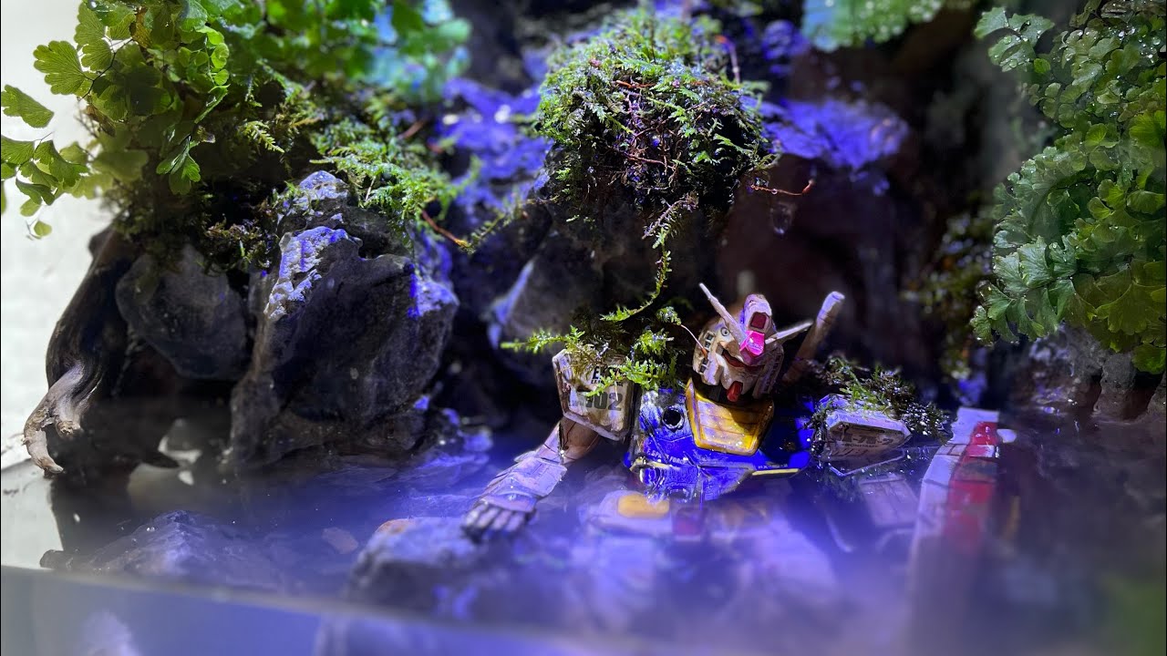 Building a live Paludarium for a Gundam RX-78-2!