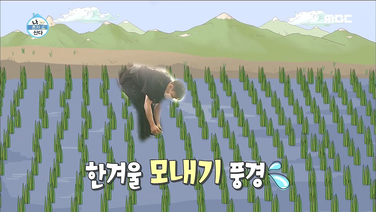[I Live Alone] 나 혼자 산다 -Lee Gigwang, 'Saving shoes project' 20170127