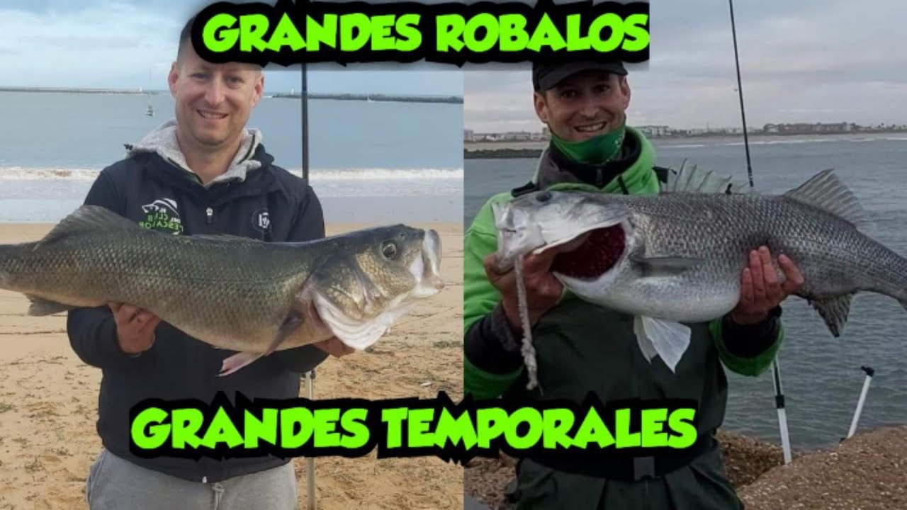 🔥GRANDES ROBALOS EN GRANDES TEMPORALES🔥