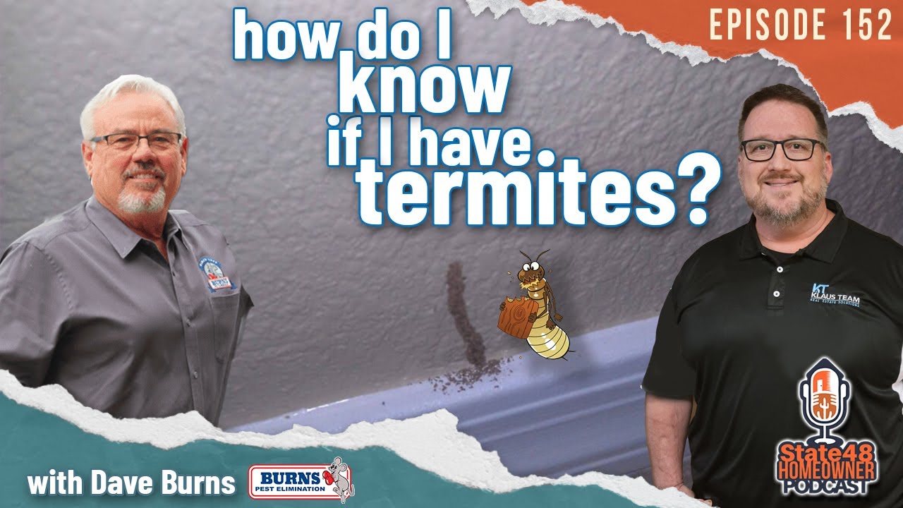 How Do I Know if I Have Termites? Arizona Termites, Termite Tubes