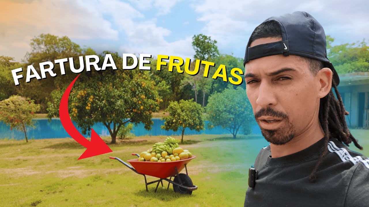 VIDA NA ROÇA