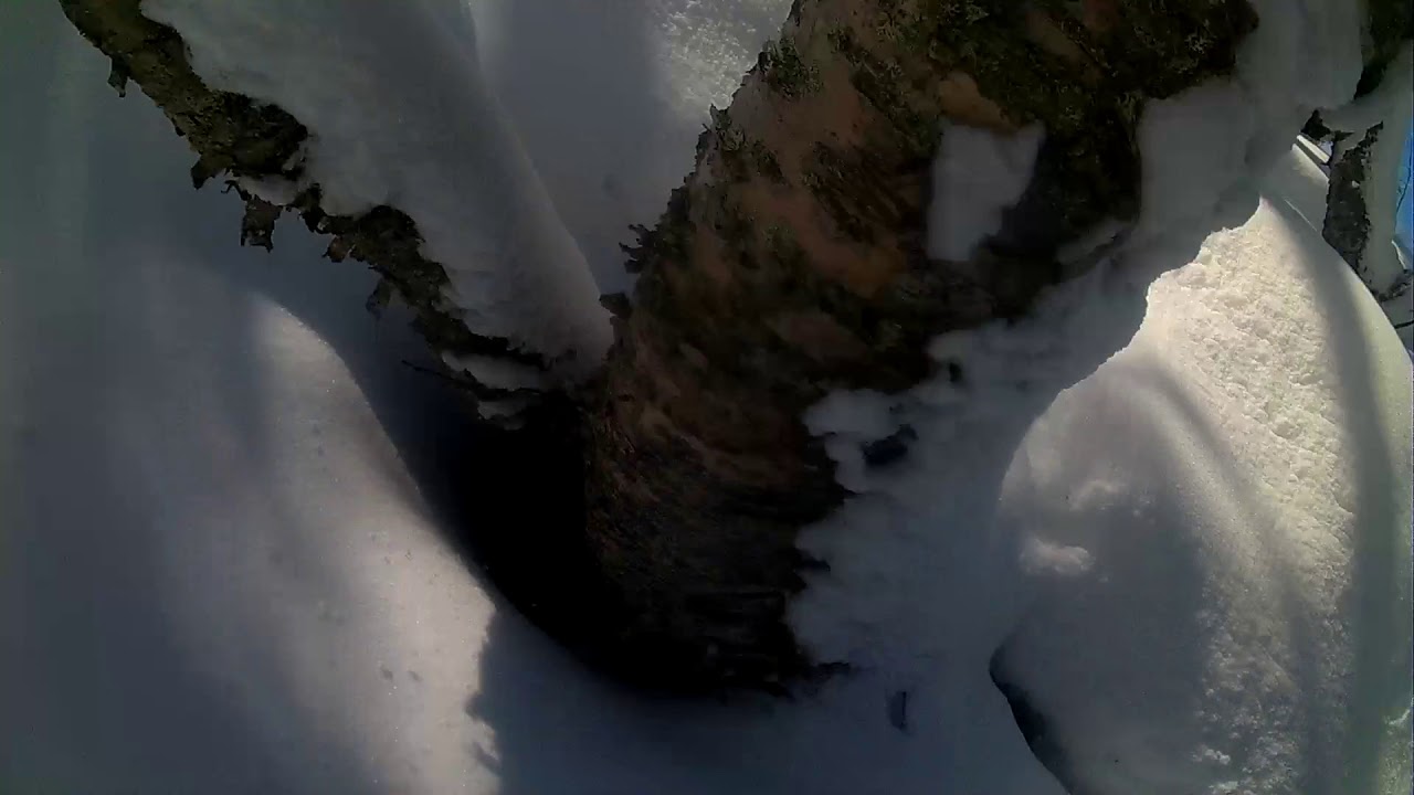 Bydalen 2017