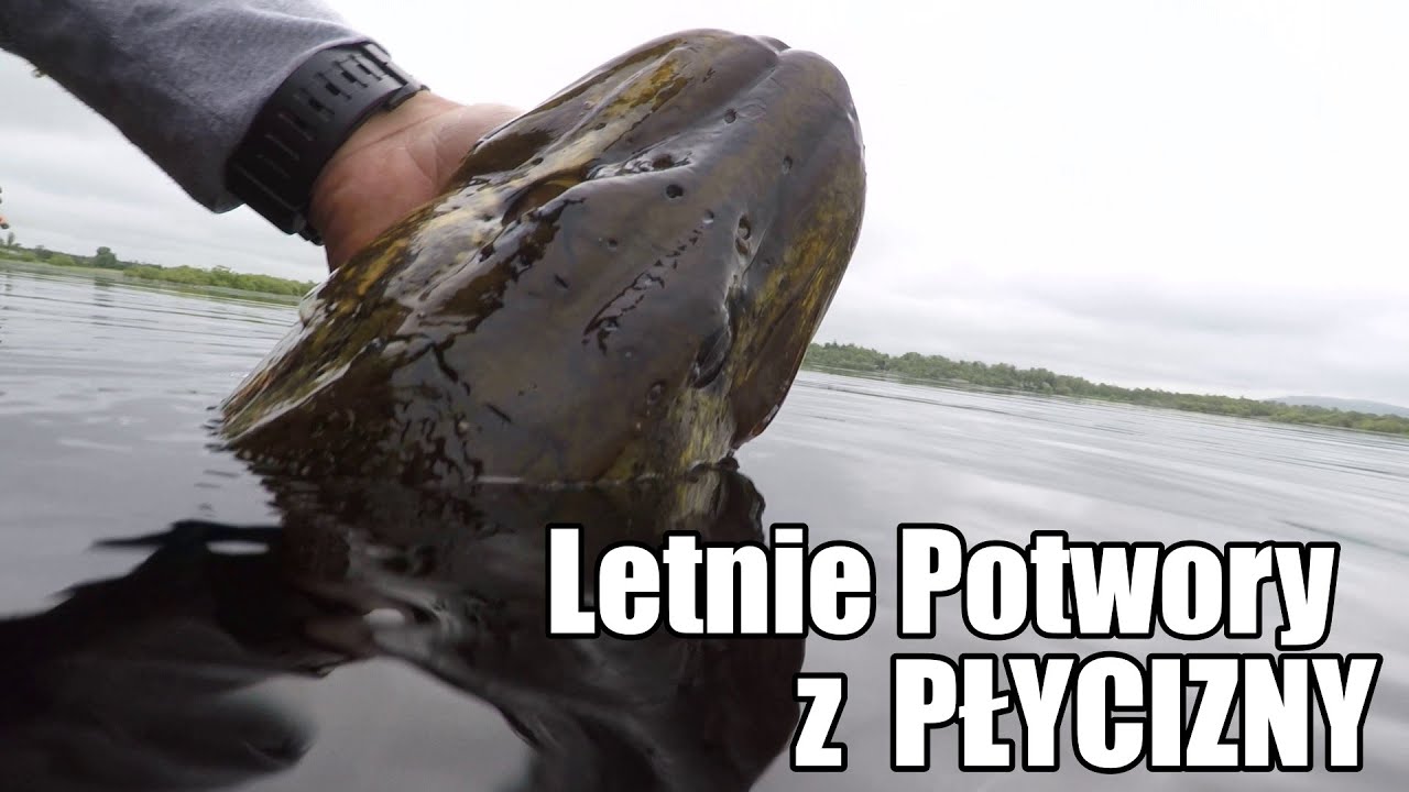 Majowy KILLER NA SZCZUPAKA | JERK SZTOS