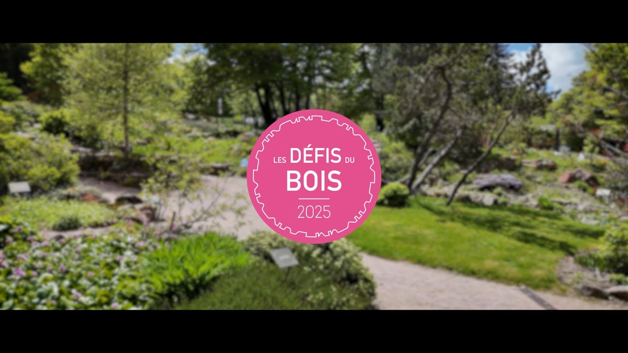 Les Défis du Bois 2025 - Le Film