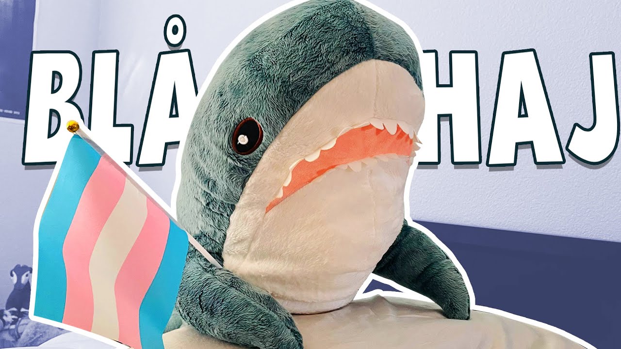 BLÅHAJ - The Plushie Hype I Still Don't Understand