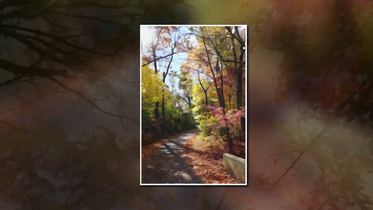 Autumn Watercolors with the Sony RX10 iii