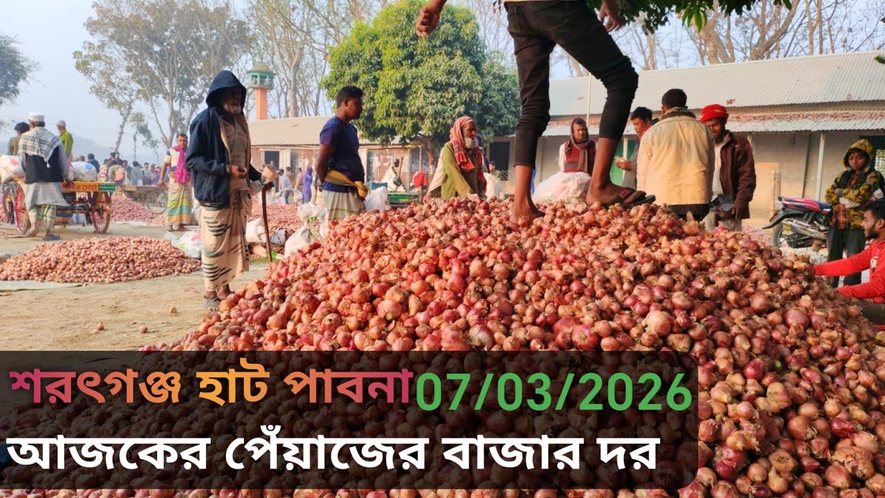 7 March 2026 আজকের পেঁয়াজের বাজার দর। Onion market price rate in pabna Bangladesh 
