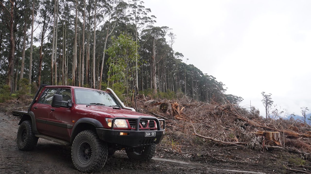 Dylan's NEW Nissan Patrol TD4.2 Dual Cab | EP 1