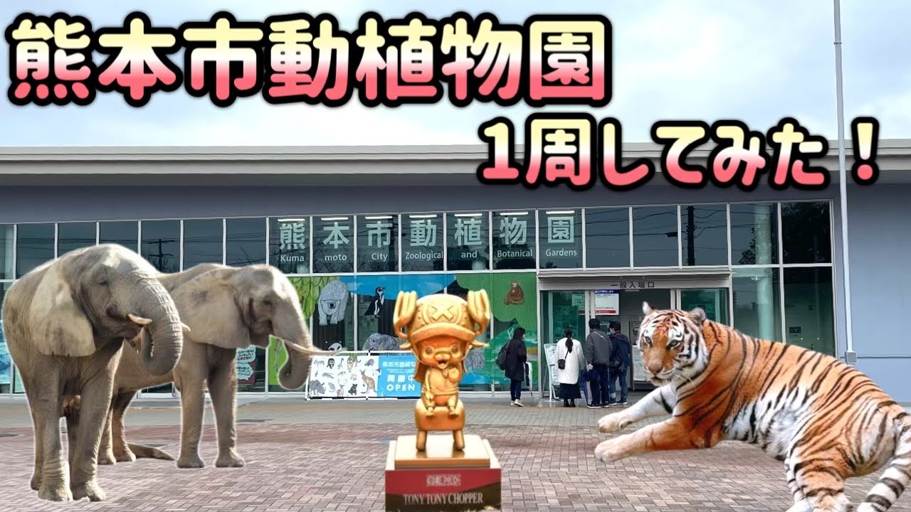 熊本市動植物園いってみた！