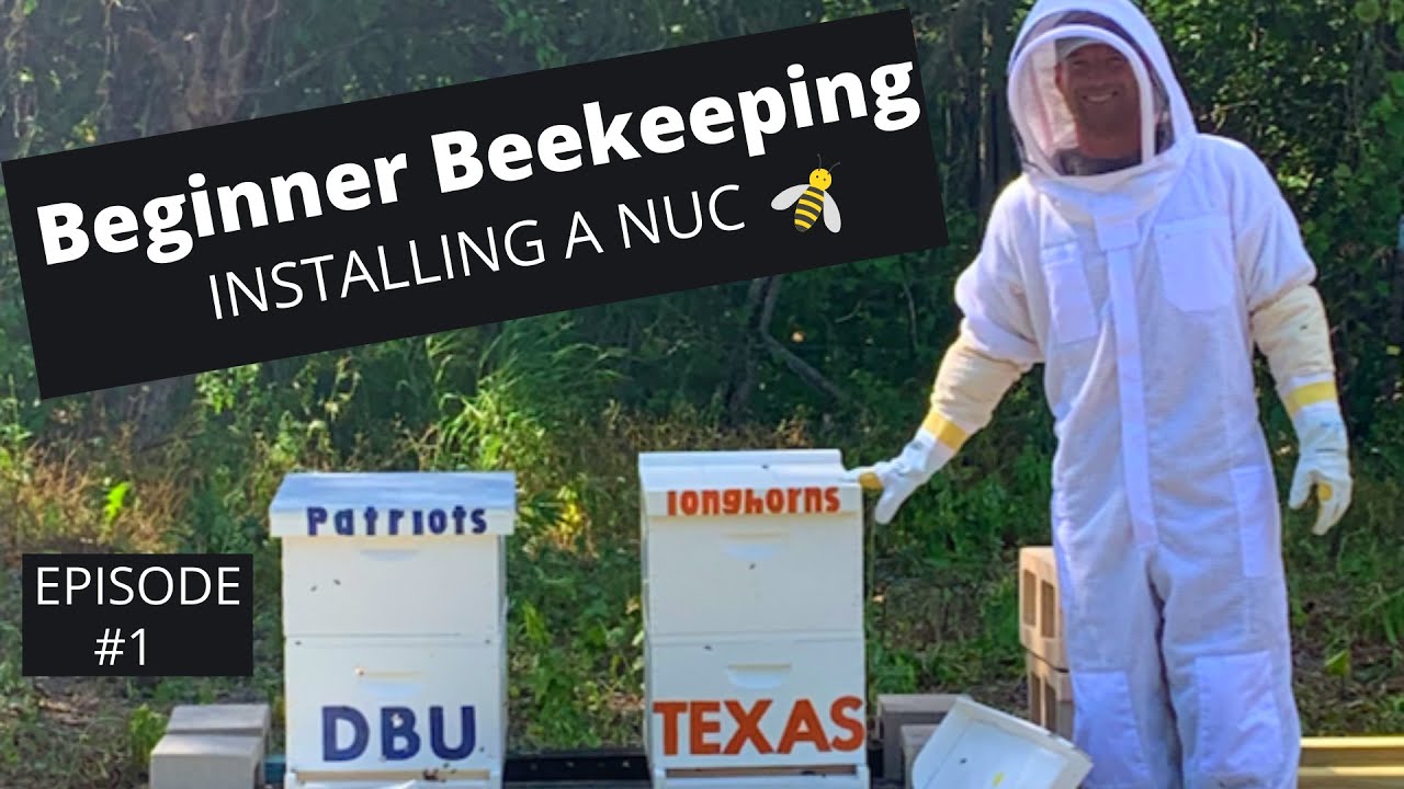 Beginner Beekeeping in Texas Episode 1 - Installing Nucs 2020