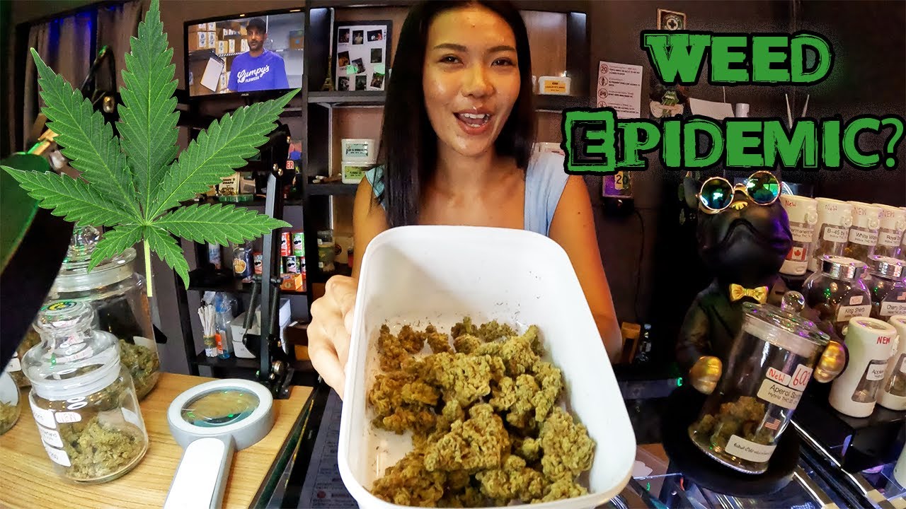 Inside Thailand's Weed Epidemic! The streets are flooded with Cannabis!!! 🇹🇭