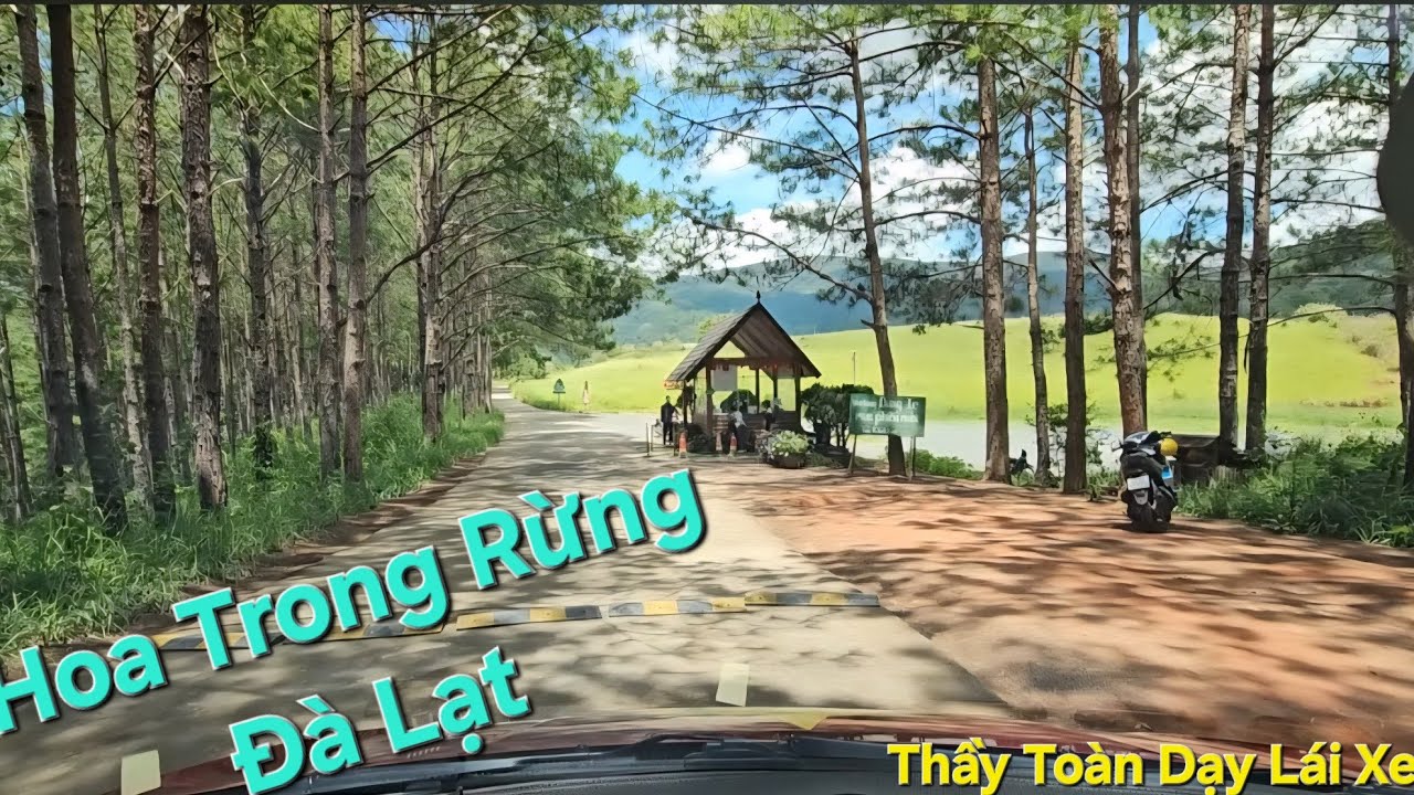 Bổ túc lái đường đèo dốc Đà Lạt trên xe số tự động đi hướng D725 đèo Tà Nung ra chỗ Hoa trong Rừng 