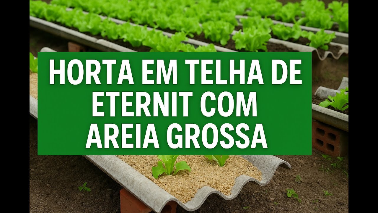 HORTA EM TELHA E AREIA, FUNCIONA MESMO?