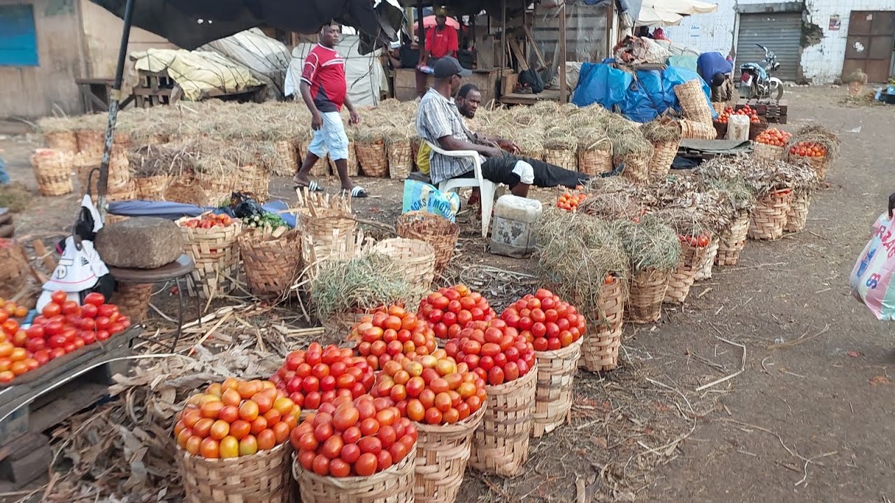 eFarm.CM founder & President visited Marche Sandaga Douala Cameroon