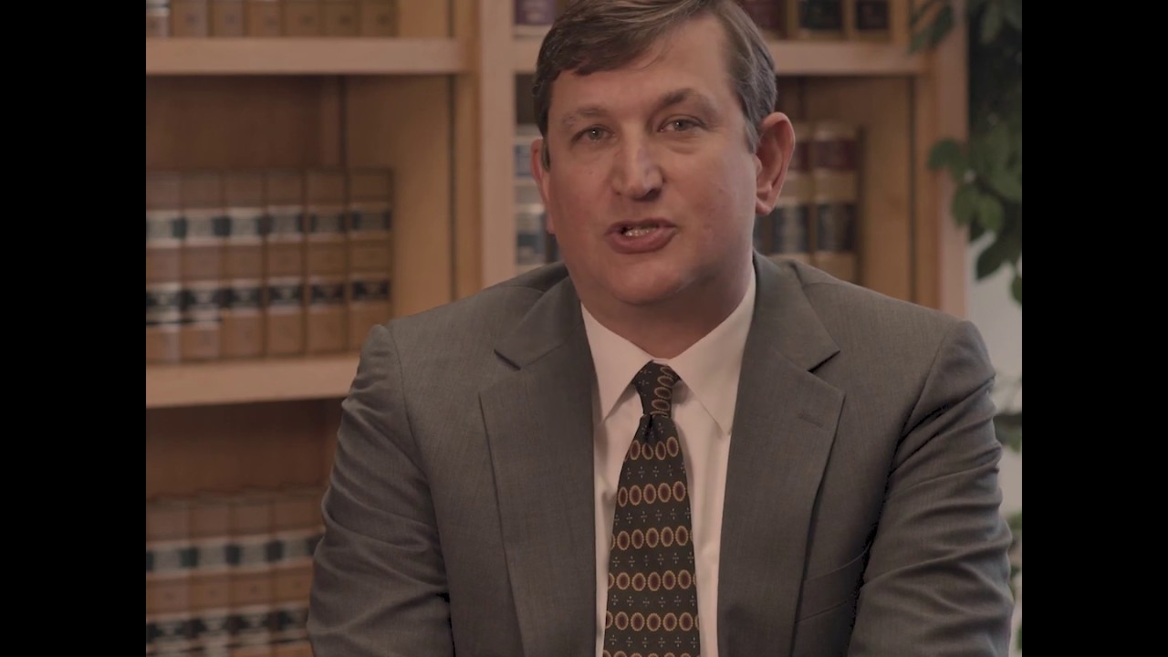 Do dog bites increase in the summer? | Atlanta Dog Bite Lawyer | Zagoria Law