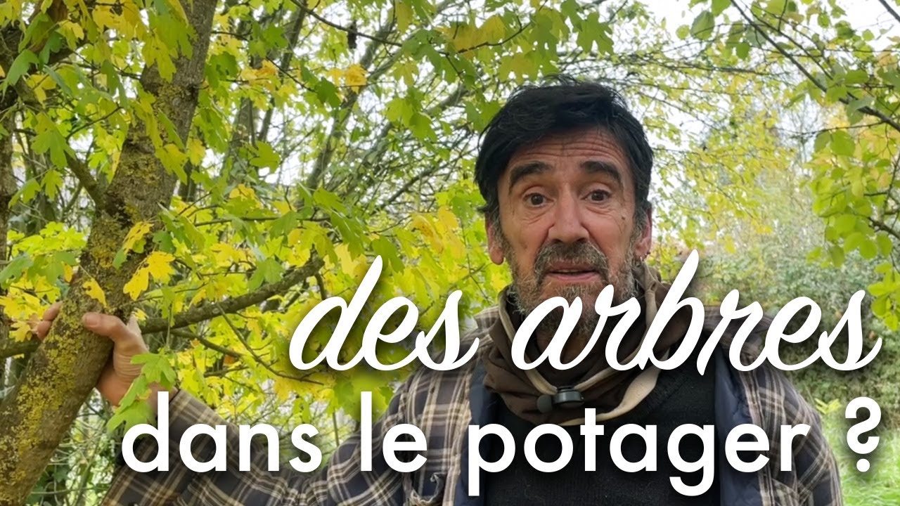 Des arbres au potager ?