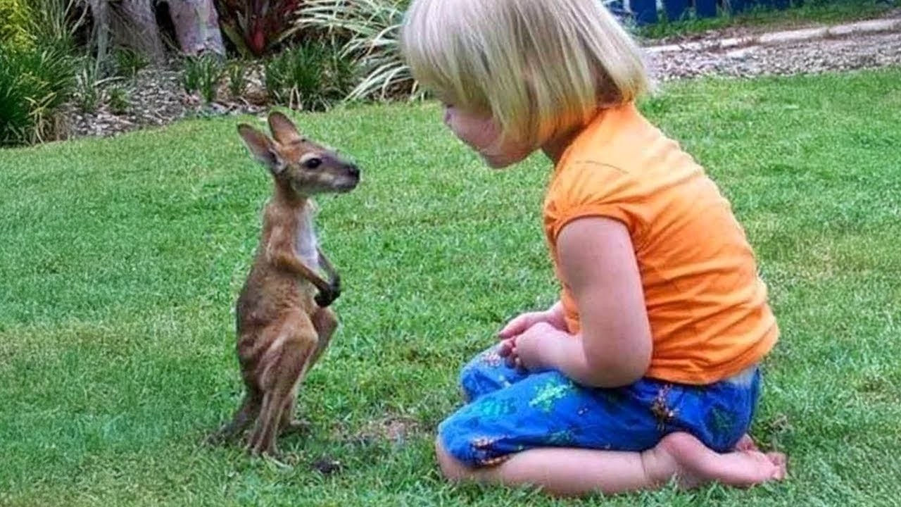 You Won’t Stop Saying ‘Aww’ After This! 🥰 Cutest Baby and Animal Moments Ever!