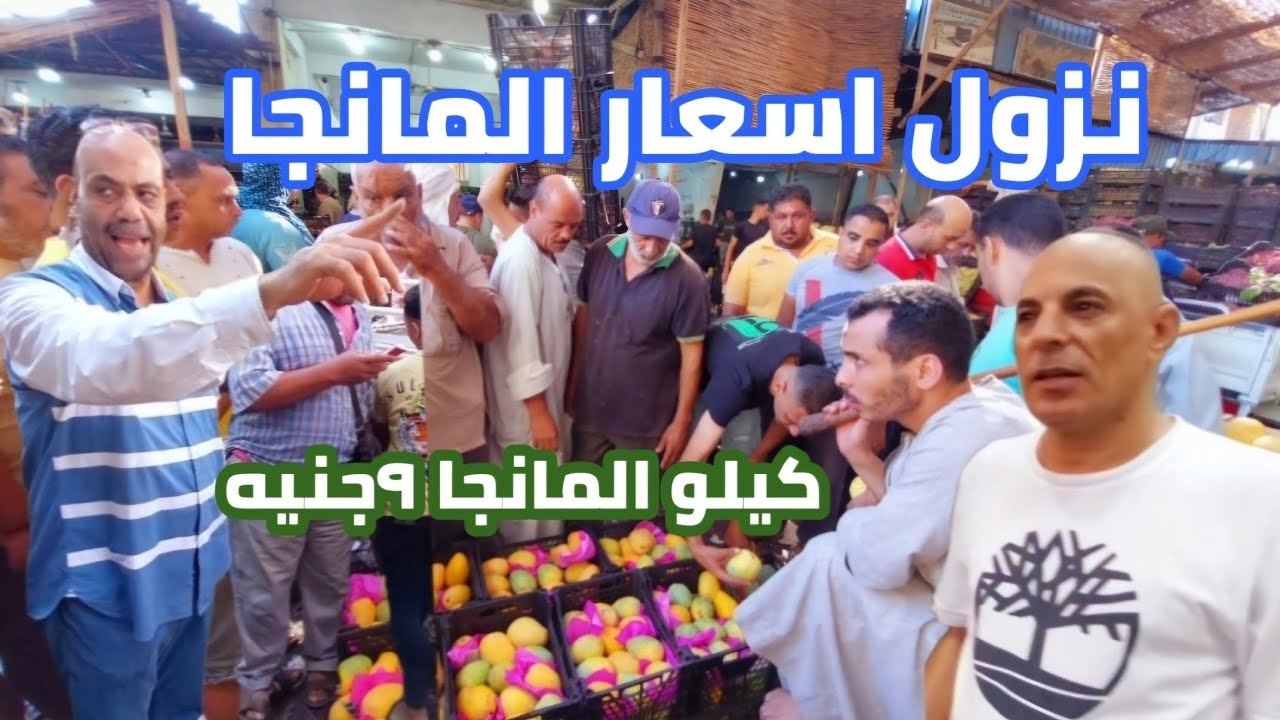 الحق اشترى نزول اسعار| المانجا والتين والعنب| وكاله الحضره اسكندريه