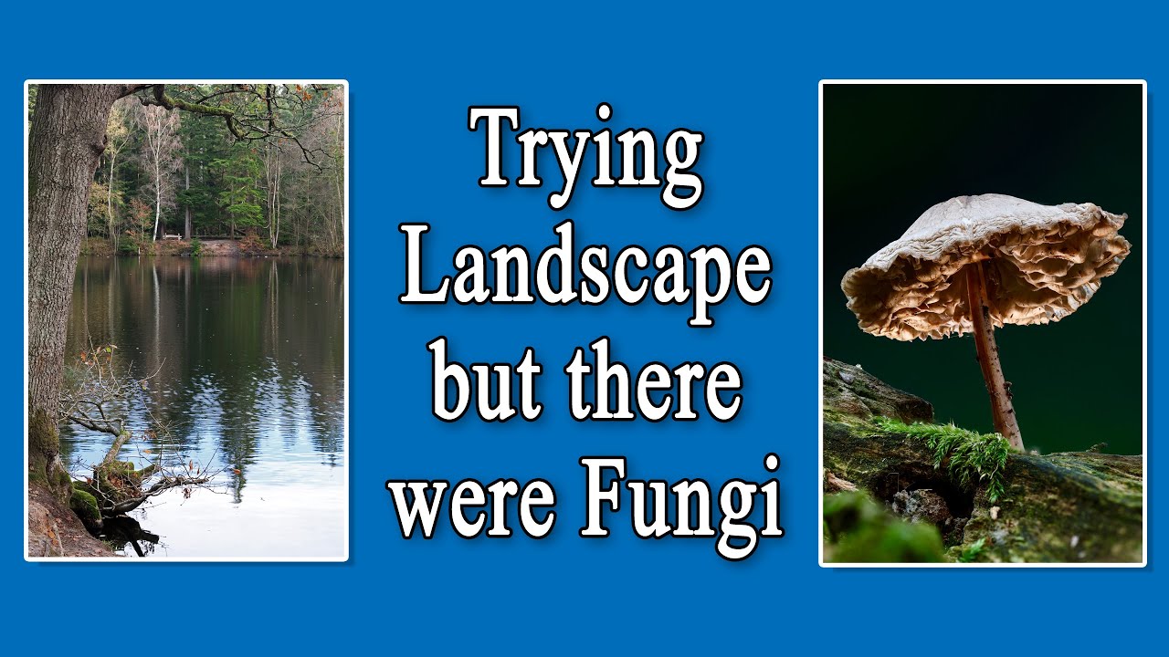 Trying Landscape but there were Fungi!