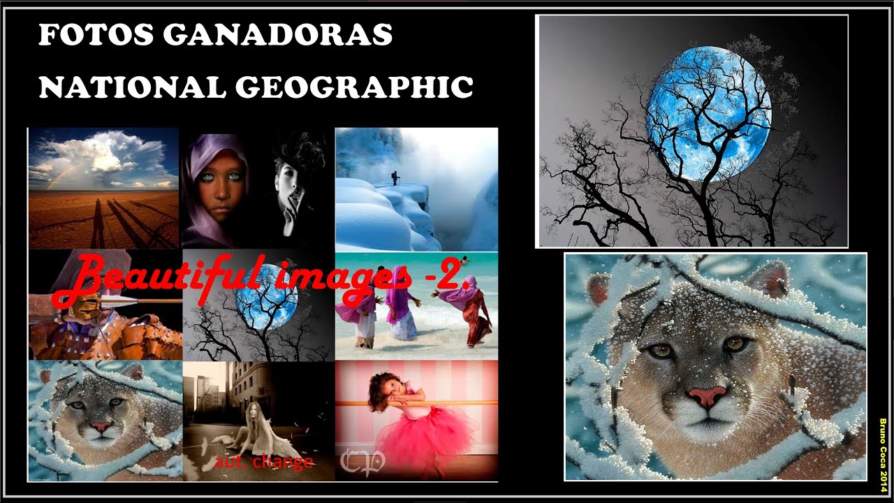 FOTOS GANADORAS NATIONAL GEOGRAPHIC....