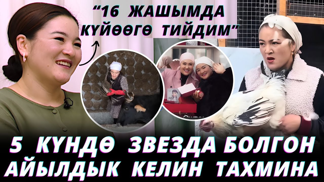 Тарс сүйлөгөн ачык келин экен😍 Күлө берип ичим эзилди🤣 “Анжеликасыз эч ким эмессиң”😱