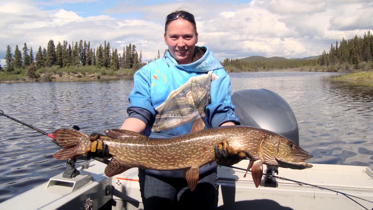 Dalton Trail Lodge | Yukon