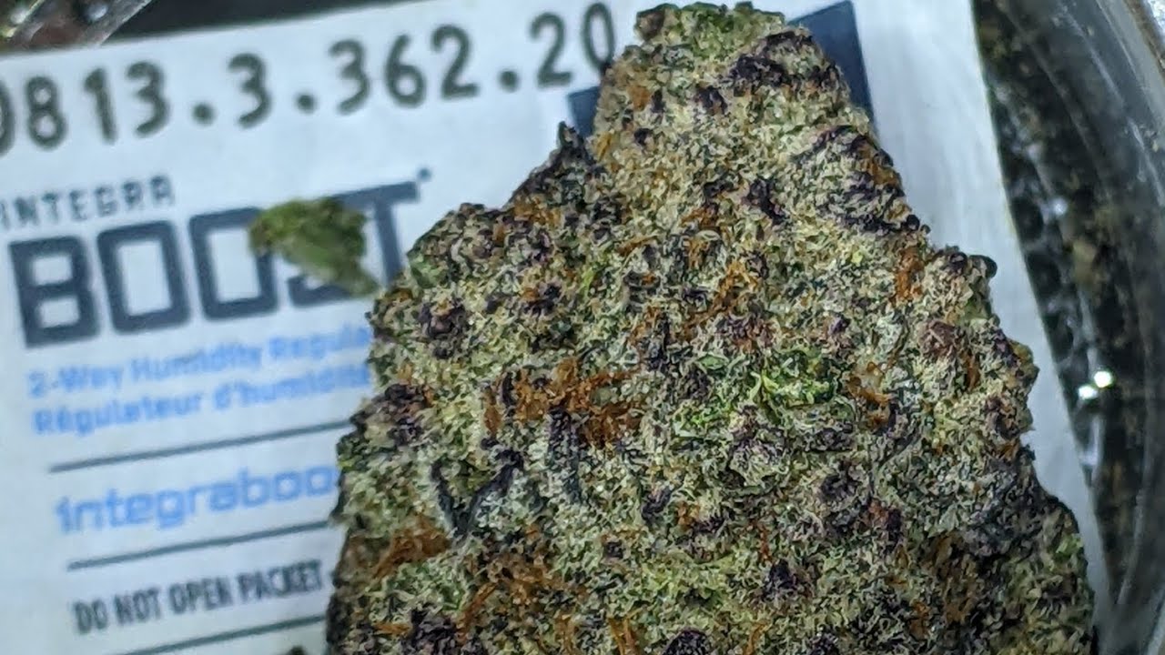 😳⛽🔥 THCA flower from the Hemp Cartels 🔥⛽😳