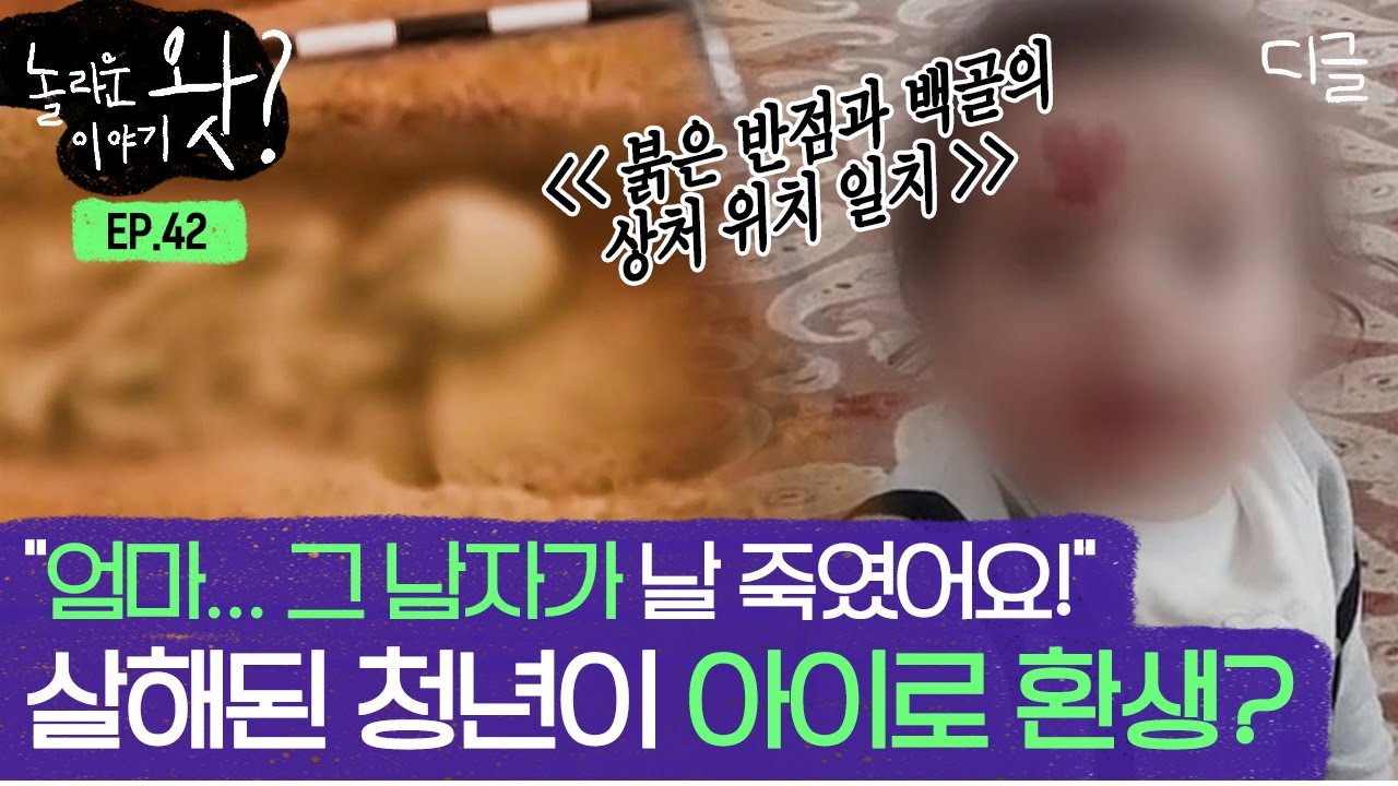 [#놀라운이야기왓] 전생에 다쳤던 상처를 그대로 가지고 태어난 아이! 상처뿐 아니라 전생의 살인범까지 기억하는 미스터리 환생 사건 | #프리한19 #디글