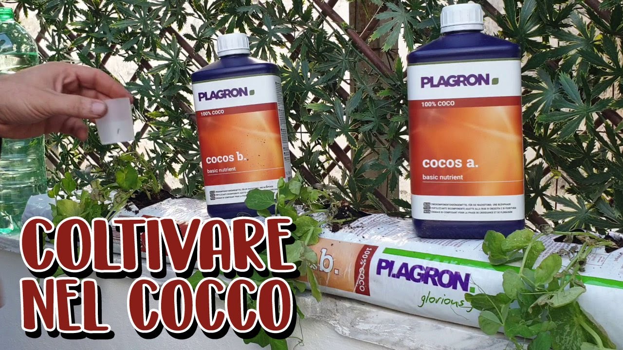 LA FIBRA DI COCCO