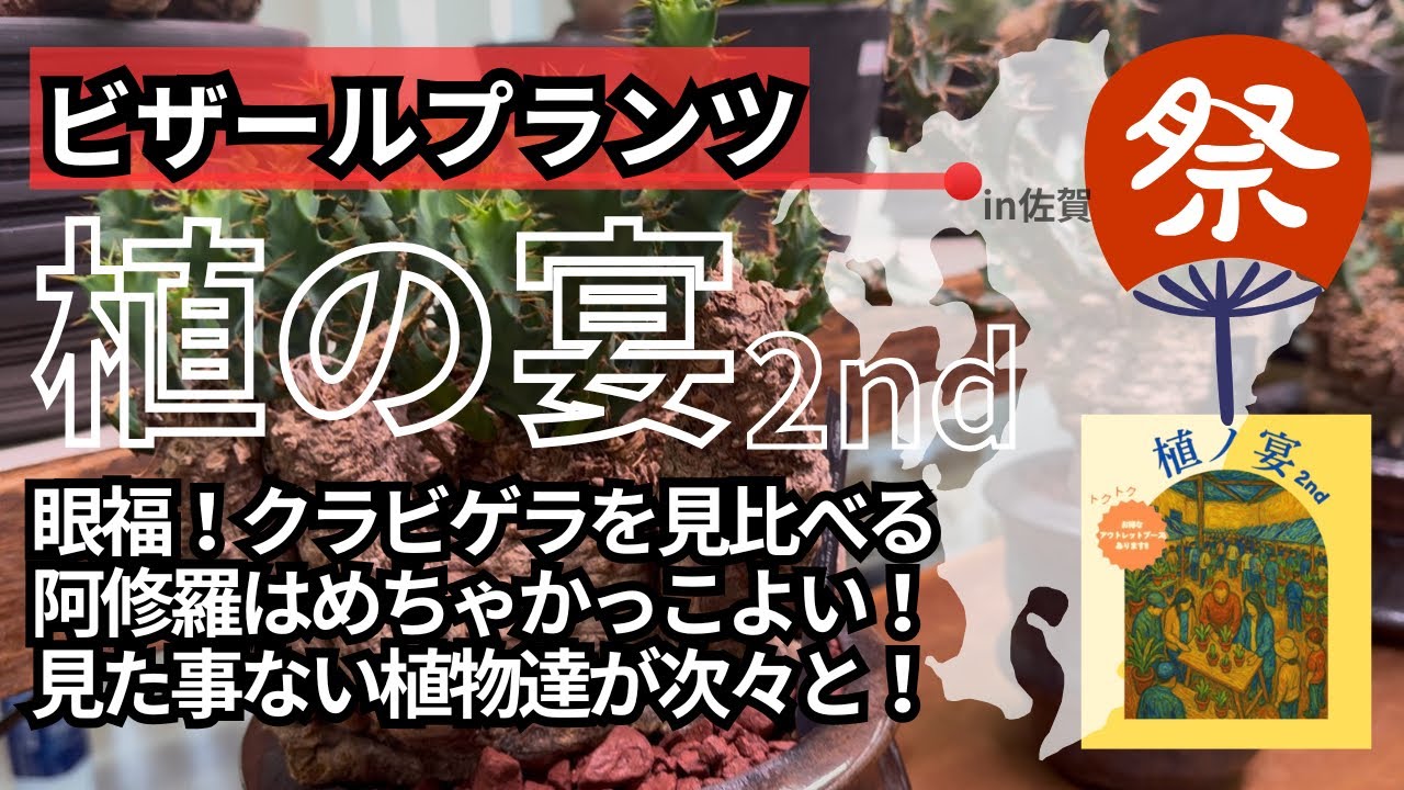 vol.30【アットホームな草イベント】『植の宴』完全レポート！眼福クラビゲラ！見た事ない植物達の共演！