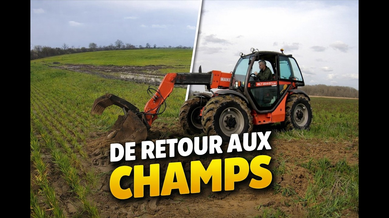 De retour aux champs