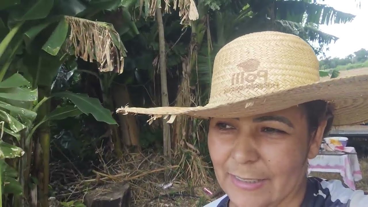 Encerramos a colheita do soja Zeus produção muito baixa 