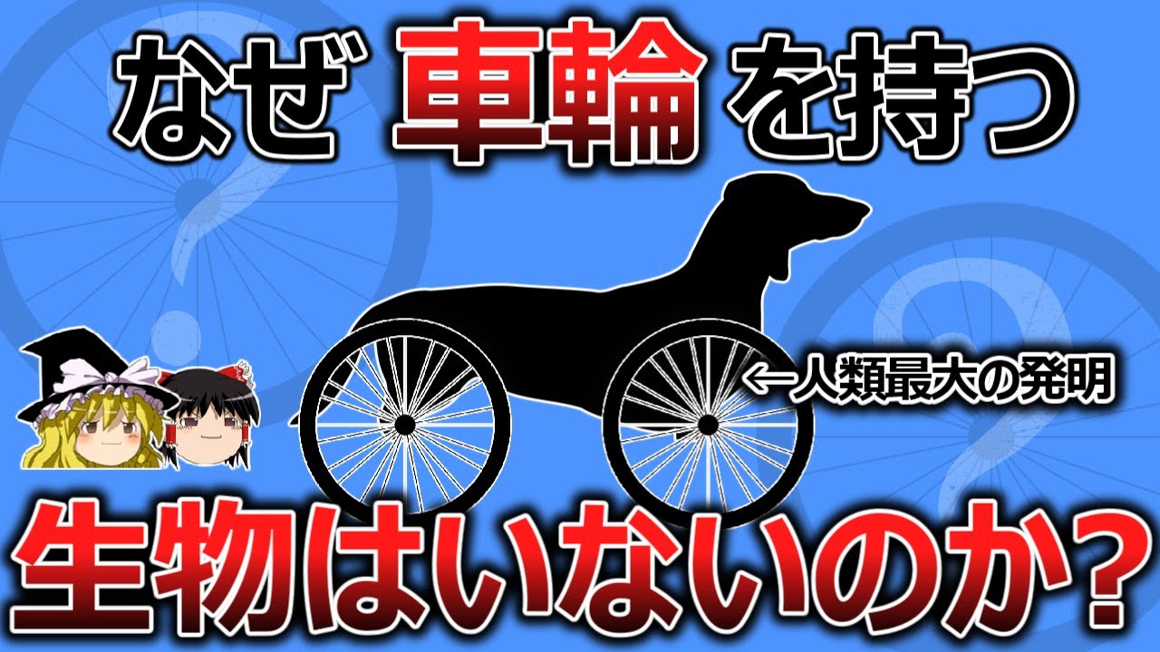 【生体進化の謎】なぜ人類最大の発明である『車輪』を生物は採用しないのか【ゆっくり解説】