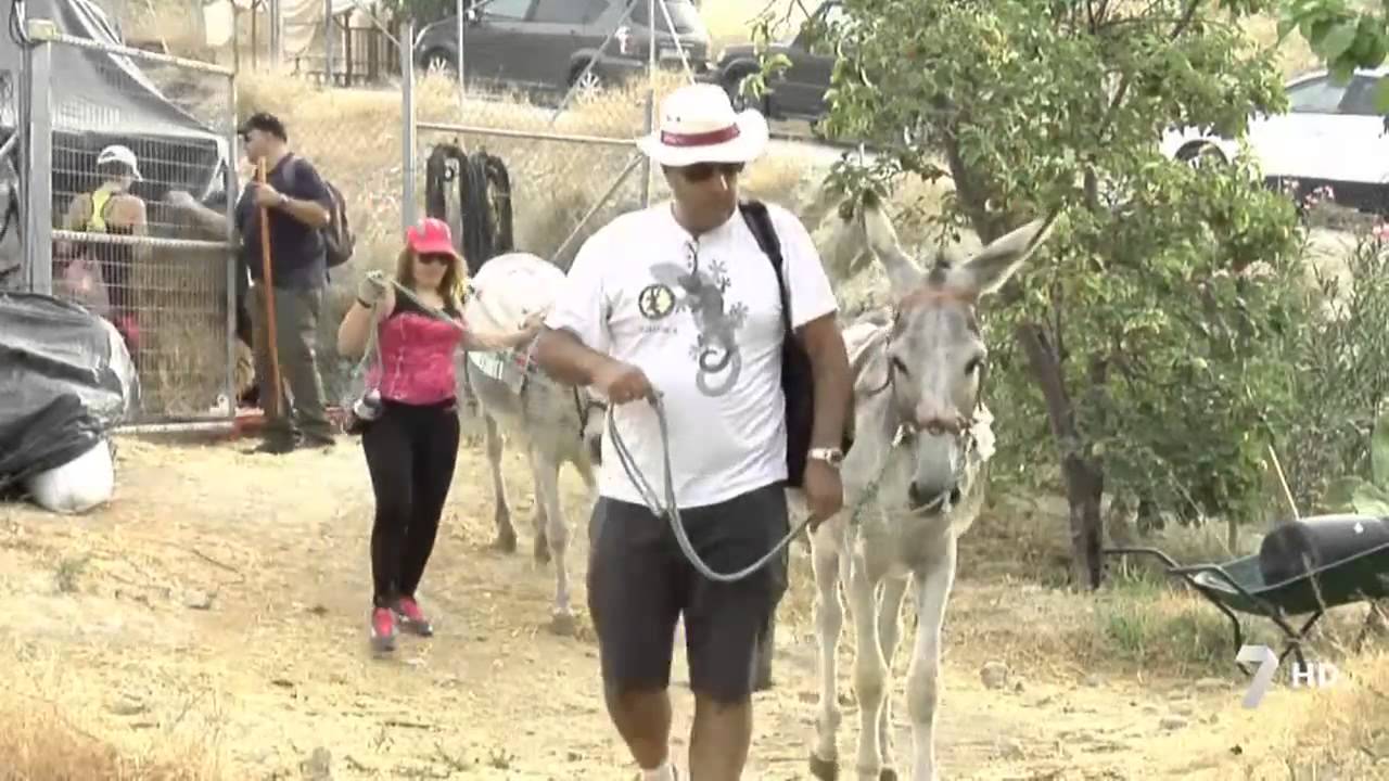 Rutas en burro por Abarán y el Valle de Ricote