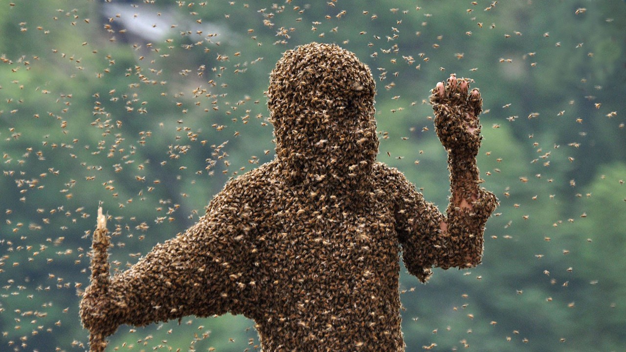 5 Most Terrible Insect Invasions in History