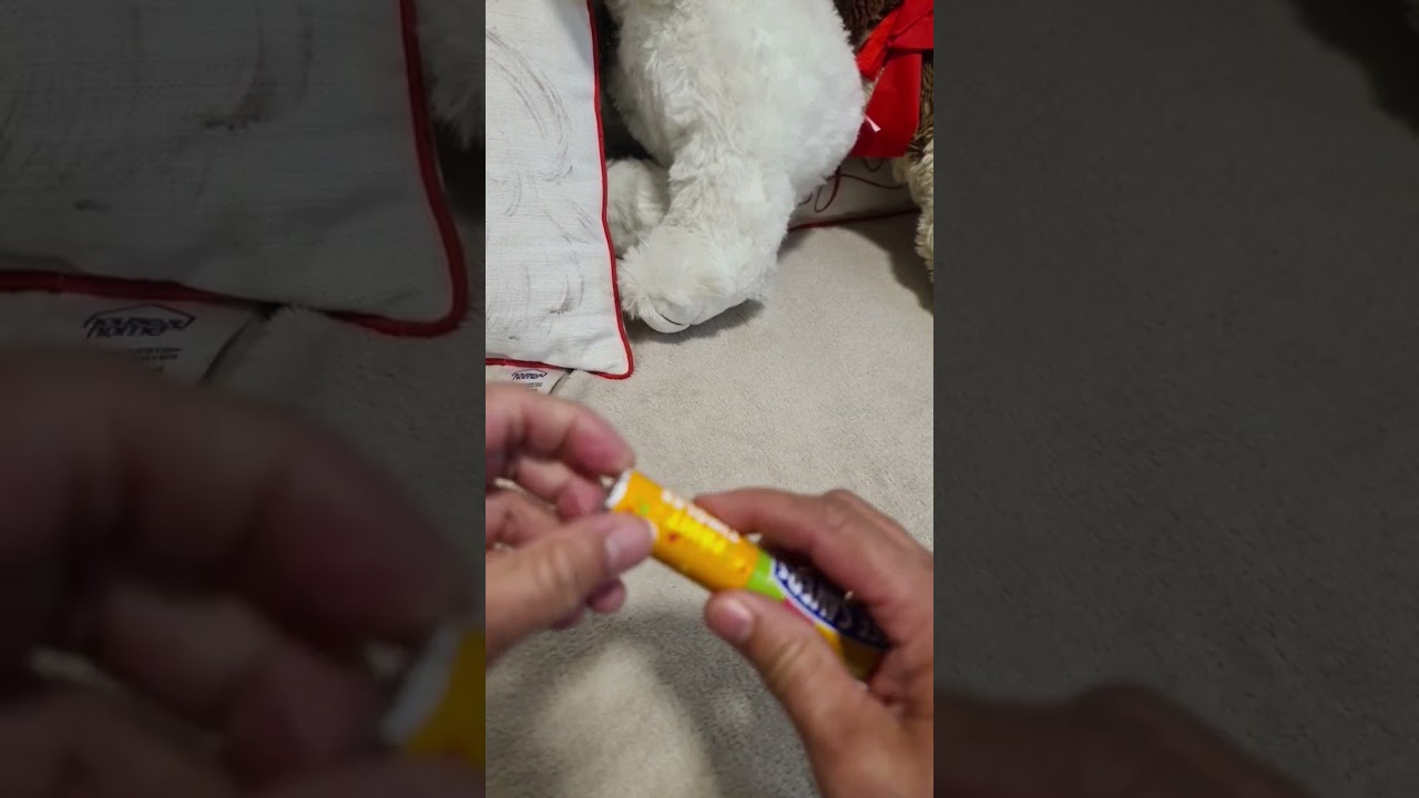 LIFE SAVERS fruit tingles #satisfying #asmr #shorts